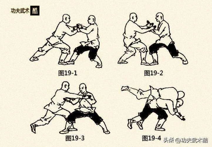 散打怎么学_1