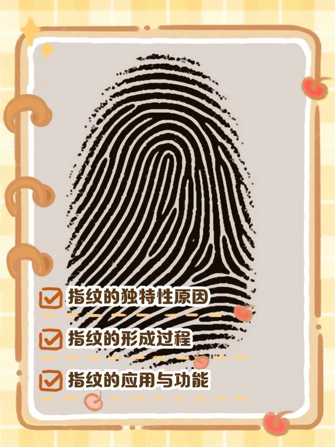 如何查指纹_1