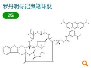环肽计算公式-环肽计算公式