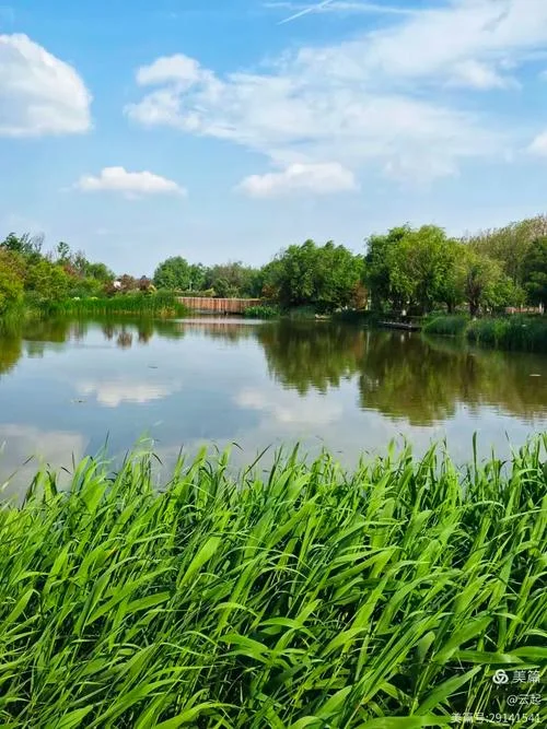 滇池湿地_2