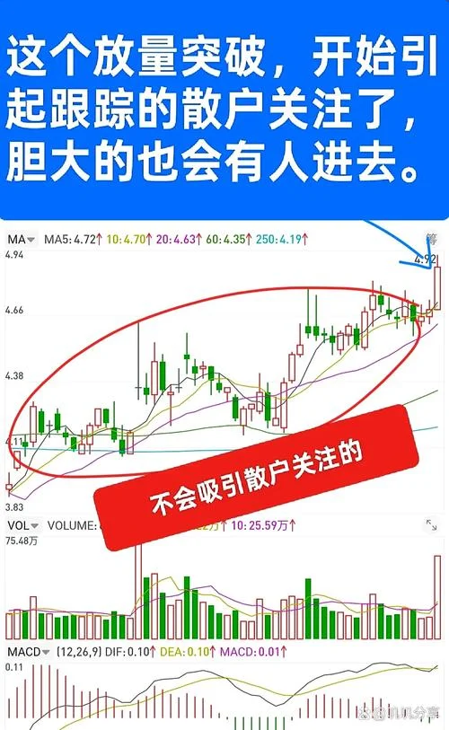梦到有人撮合我和别人_2