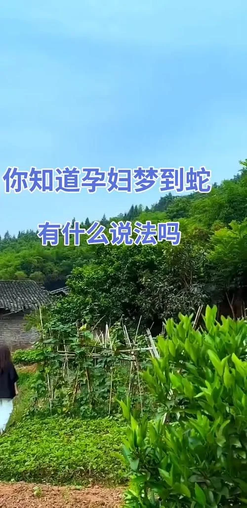 哺乳期梦到蛇_2