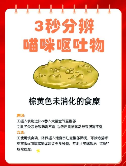 梦到吐屎是什么意思啊_1