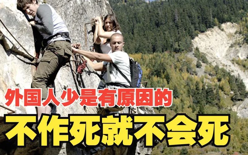 不作死就不会死下一句-不作死就不会死