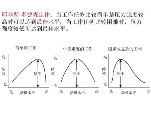 组织定理_2
