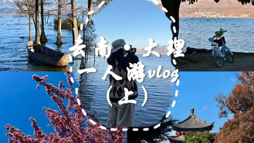 梦到独自去旅行_2
