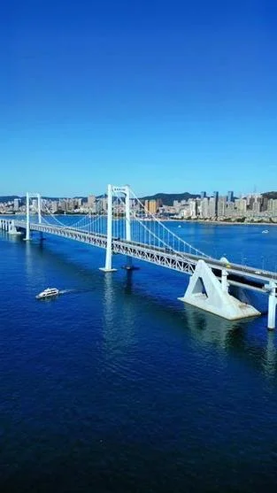星海湾大桥多少公里_1