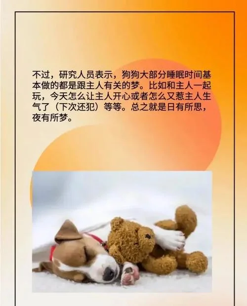 梦到很多不同的狗_1
