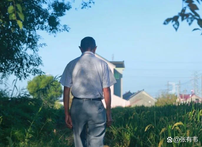 剃头挑子一头热下一句-剃头挑子难调头