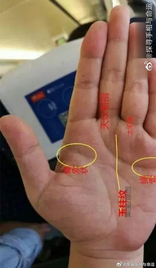 男人什么手相好-男手相辨识