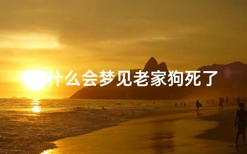 梦见自己家狗死了是什么预兆_2
