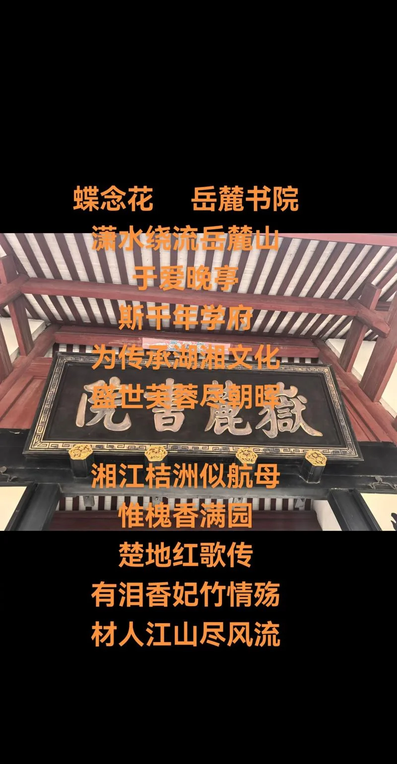 芙蓉国里尽朝晖下一句-芙蓉国尽朝晖
