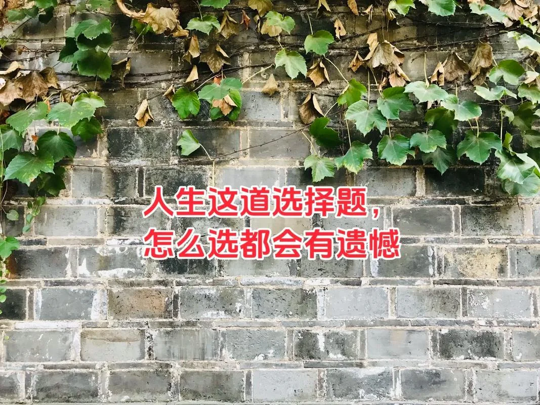 人生抉择的感悟-人生抉择感悟