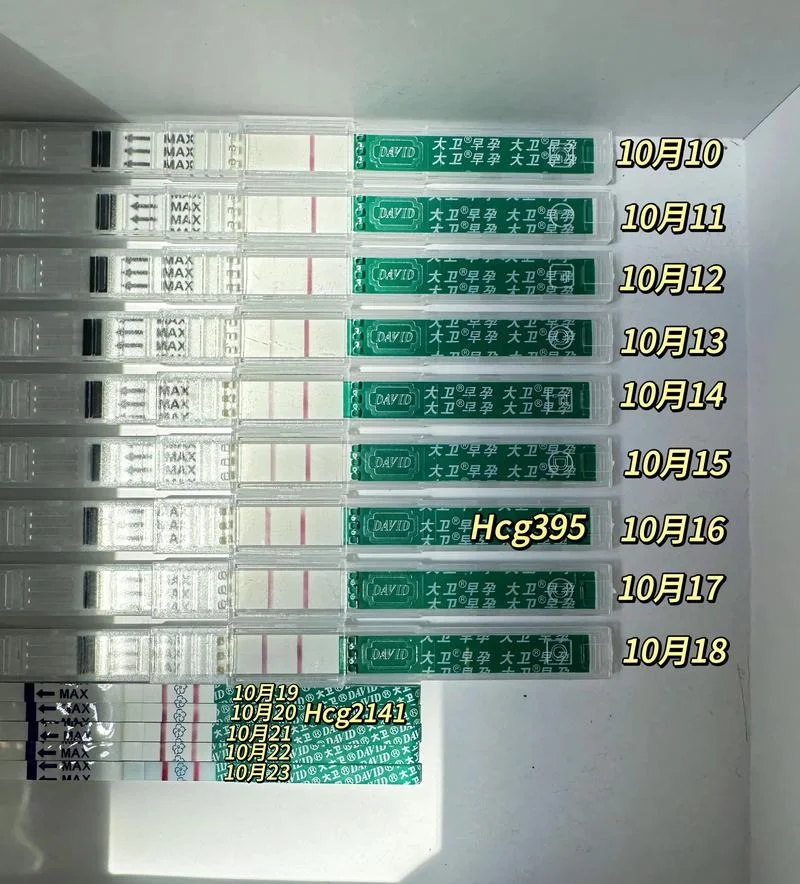 大卫早早孕多少钱一盒-大卫早孕测试盒 10 元
