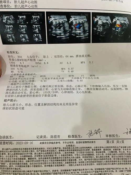 胎儿打心脏多少钱_1