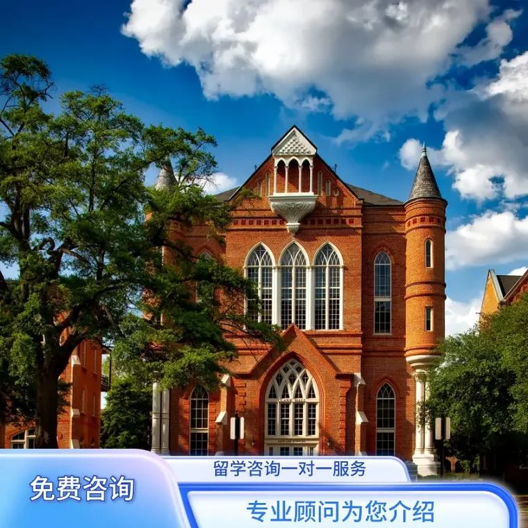想出国留学英语怎么学-想出国英语怎么学