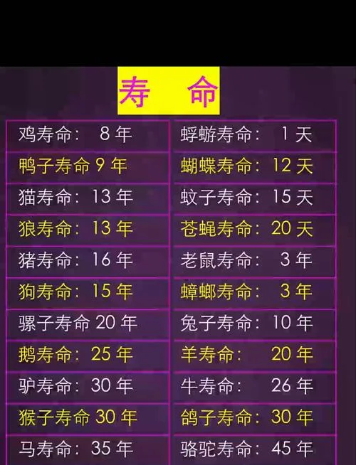 什么人命_2