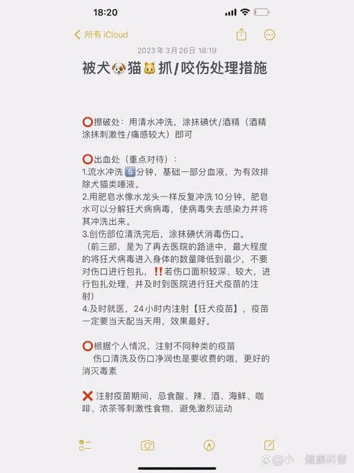梦见被猫咬 如何化解_2