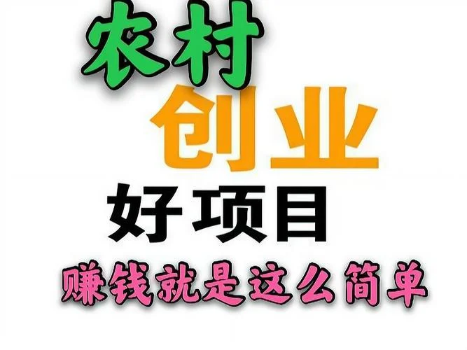 小项目大赚钱_2