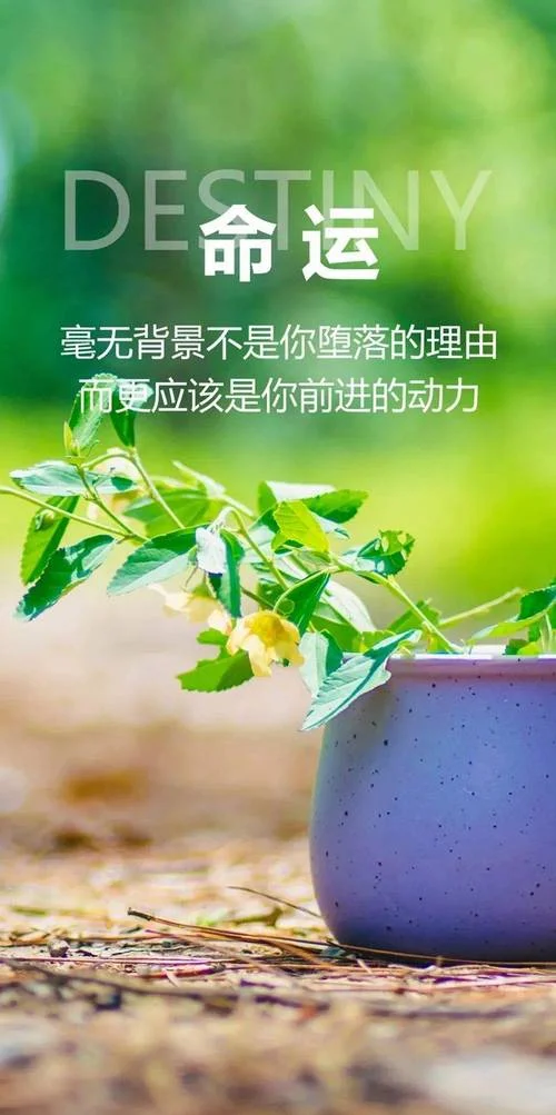 激励感悟人心的一段话-激励感悟人心话