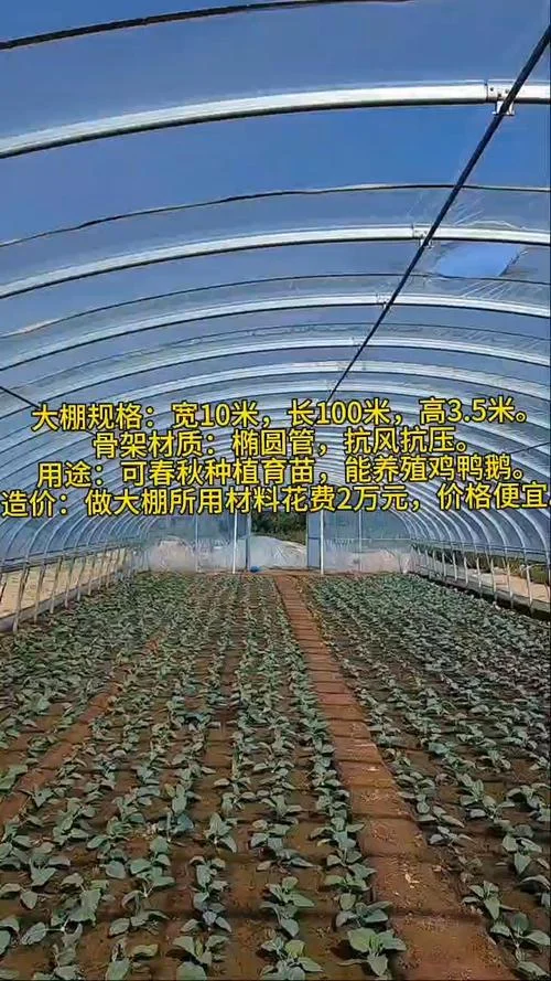 搭建一亩大棚要多少钱-大棚搭建一亩需多少钱