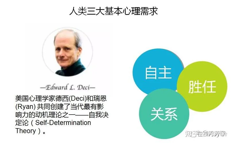 自我决定理论动机分类-自我决定理论动机