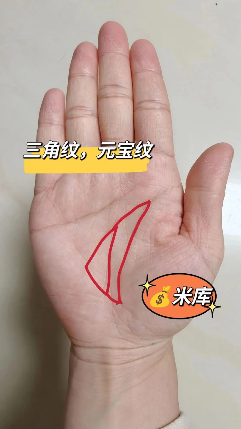 婚姻线上有元宝纹手相_1