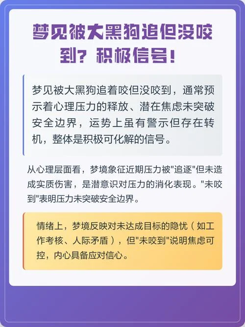 女人梦见狗追没有被咬_1