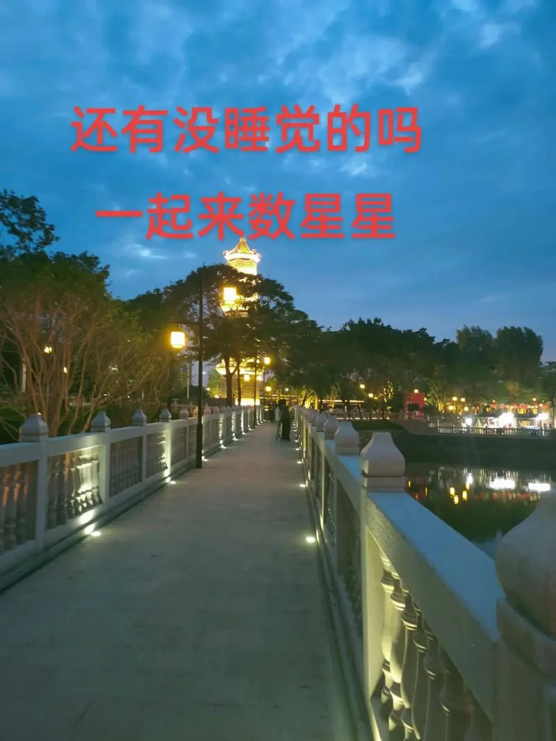 睡不着数星星说说_1