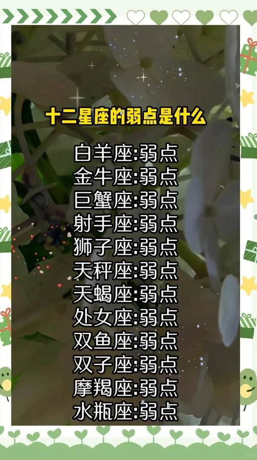 双子今日运势_2