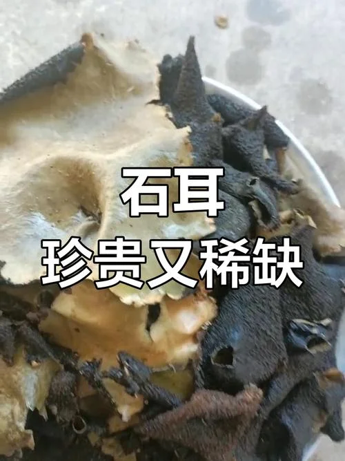 石耳多少钱一斤_2
