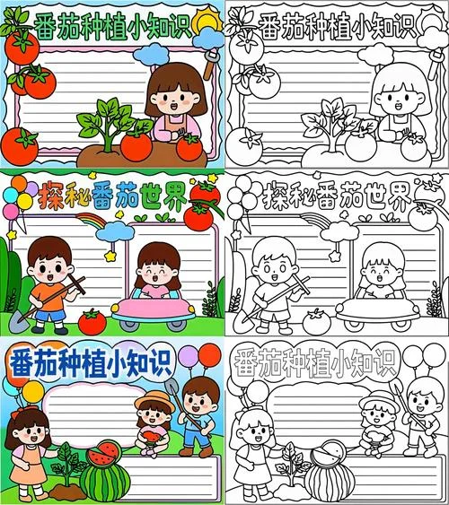 健康蔬菜手抄报-健康蔬菜手抄报内容
