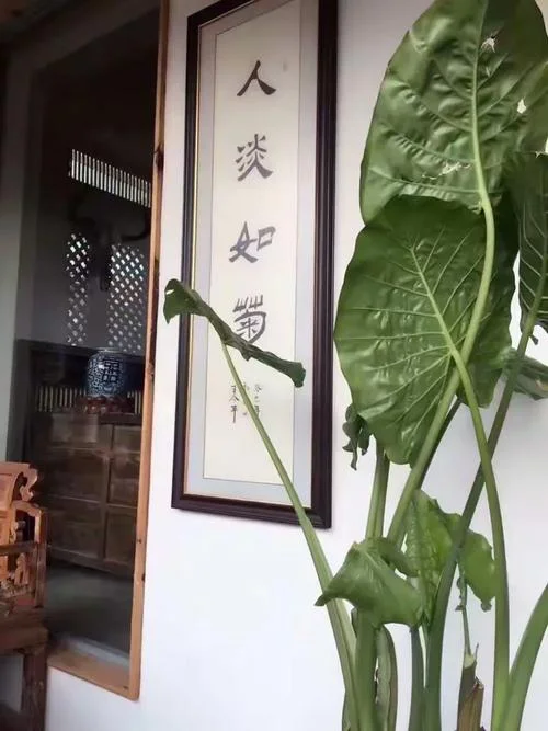 车尘马足贵者趣下一句_1