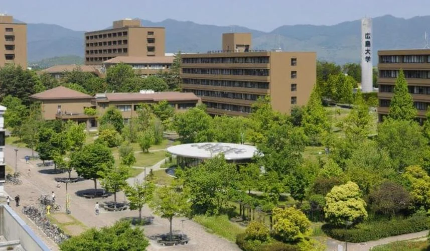 交通大学留学桥怎么样-留学桥口碑如何