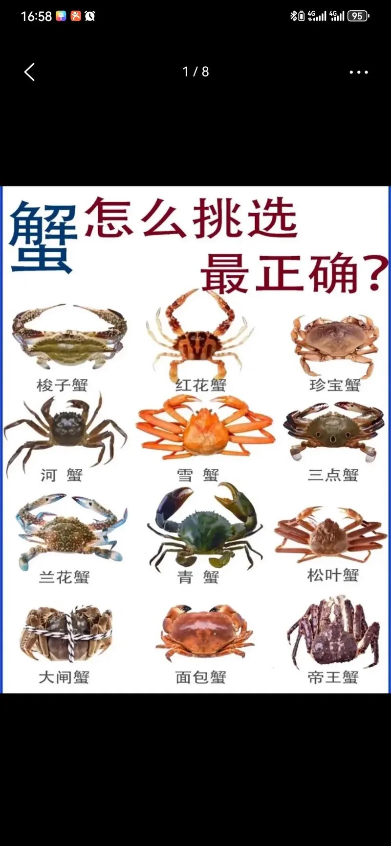 螃蟹的介绍-螃蟹简介