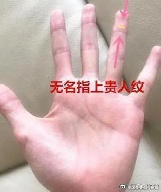 看手相为什么要给钱-看手相为何收费
