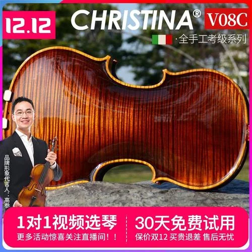 器乐艺考能考什么乐器_1