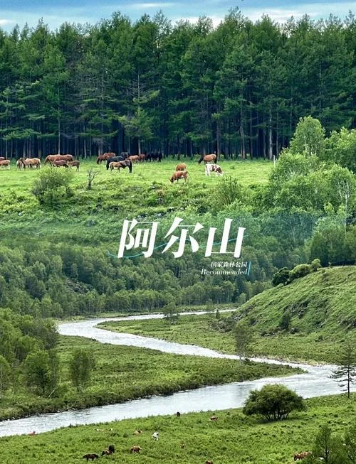 阿尔山最佳旅游攻略_1