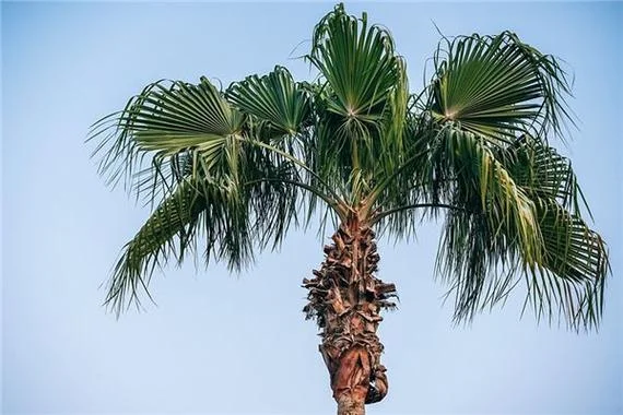 梦见被蜈蚣咬了是什么意思 周公解梦_1