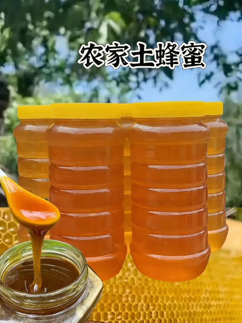 什么是好土蜂蜜_1