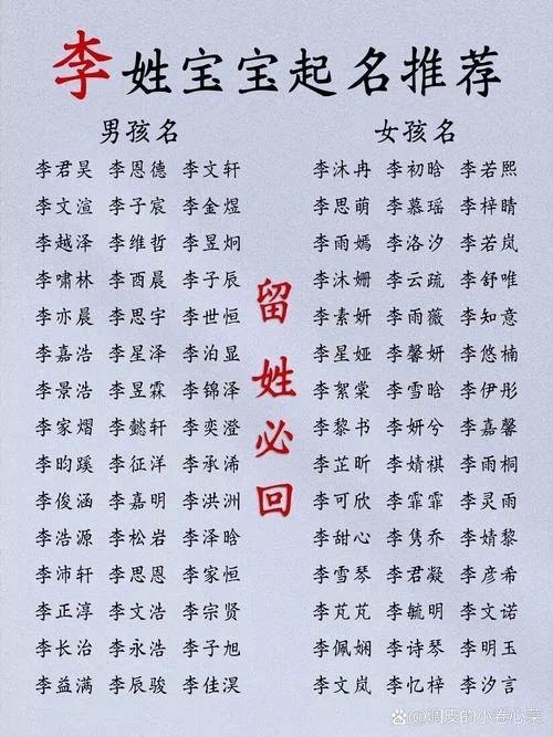 宝宝起名字男孩姓李-李姓宝宝男孩起名