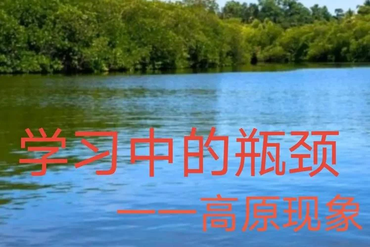 学习瓶颈_2