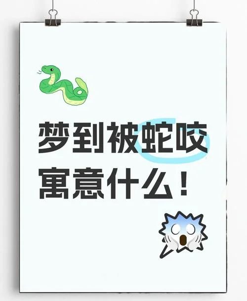 梦见蛇和猫撕咬_1