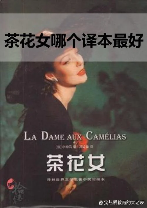 茶花女故事简介-茶花女故事概