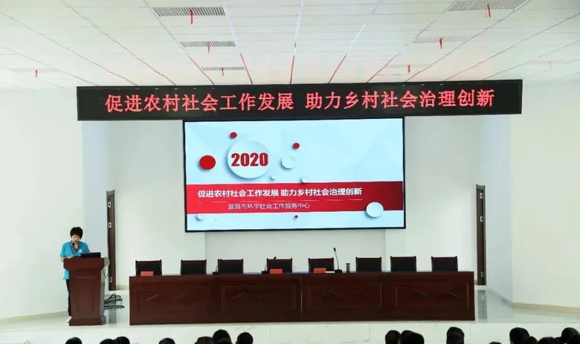 爱老社工项目申报书_2
