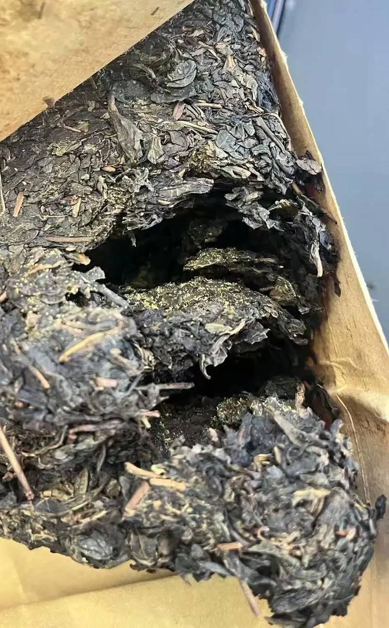 金花茯砖茶历史_2