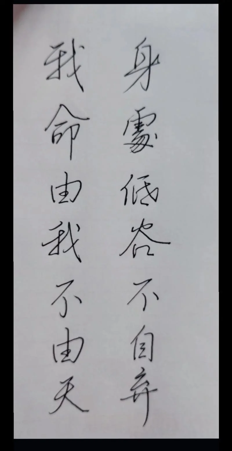 命由我不由天是谁写的_2