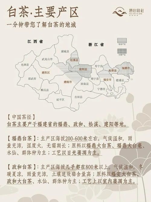 白茶产于哪个省-中国独有