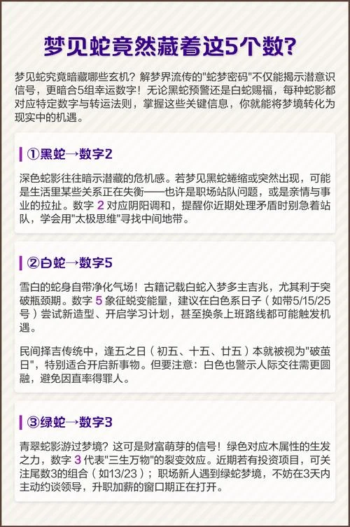 梦到二条蛇预示着什么_1