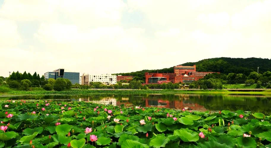 韩国檀国大学qs排名2024_2